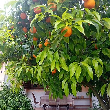 Affittacamere Casa Pratolungo Velletri Esterno foto