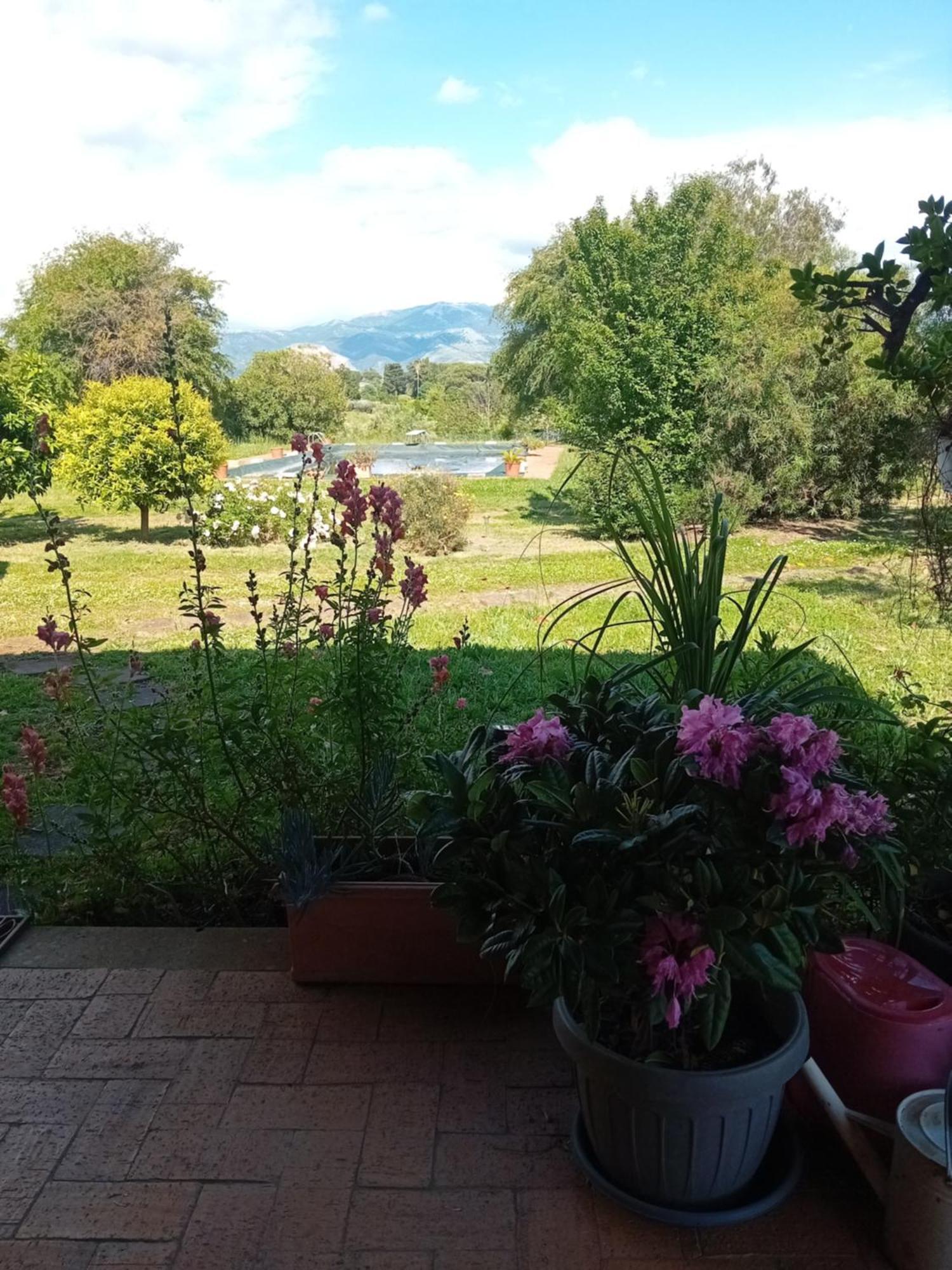 Affittacamere Casa Pratolungo Velletri Esterno foto