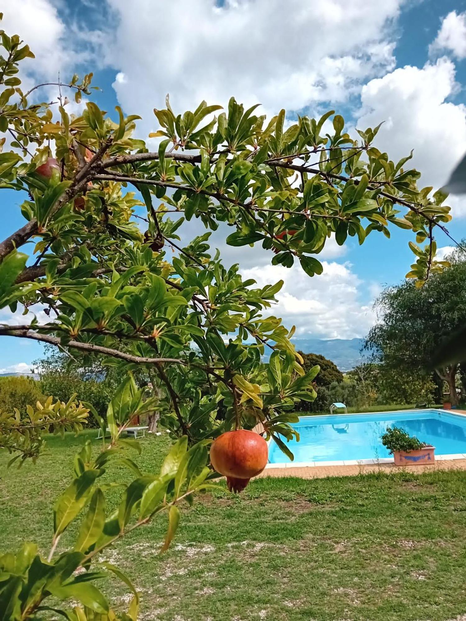 Affittacamere Casa Pratolungo Velletri Esterno foto